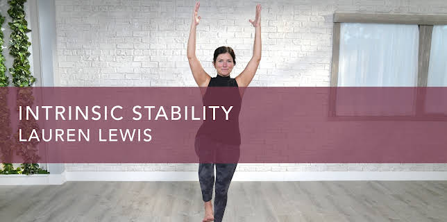 Intrinsic Stability (2022)