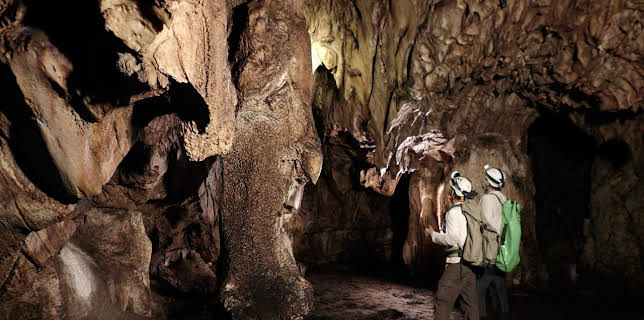 16:55: Afrika - Den ersten Menschen auf der Spur | Arte | 1/29 2026
