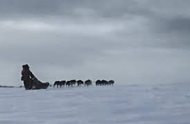 Aliens In Alaska, Season 1: Nightmare Below Zero