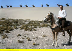 Durchs wilde Kurdistan