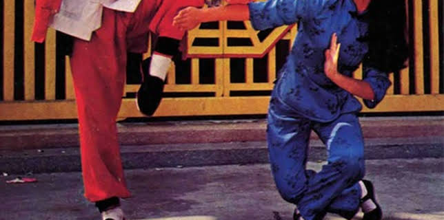 Fearless Master aka Fearless Hyena 3 (1979)