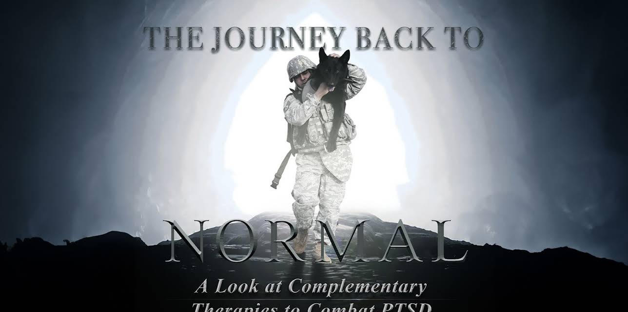 The Journey Back to Normal: A Look at Complementary Therapies to Combat PTSD (2022)