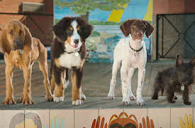 Superhundarna: Pilotavsnitt