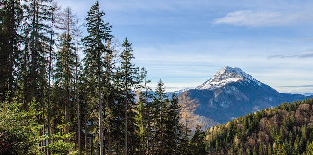 17:20: Ötscher - Im Reich des sanften Riesen | 3SAT | 3/6 2026