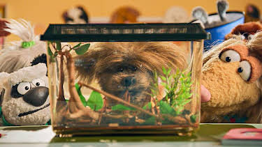 3:30 PM: Dodge's Pup School (S1) | Cbeebies | 1/7 2026