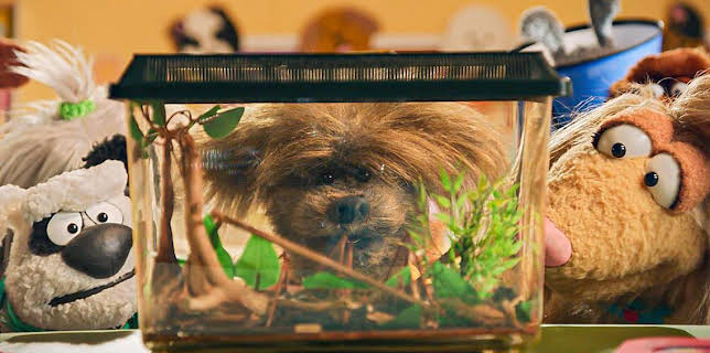 12:45 PM: Dodge's Pup School (S1) | Cbeebies | 11/23 2025