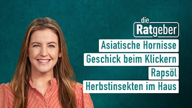 08:15: Die Ratgeber | HR Fernsehen | 10/2 2026