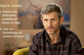 Nature Watching: How to Find and Observe Wildlife: How Long Ago Was an Animal Here?