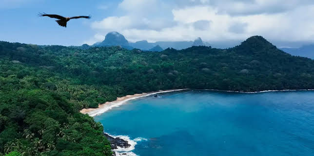 20:15: mareTV | NDR Fernsehen | 11/20 2025