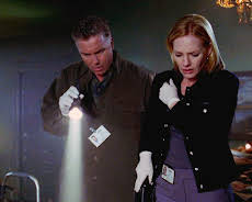 CSI: Den Tätern auf der Spur