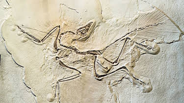 9:00 PM: - | Discovery History | 12/26 2025