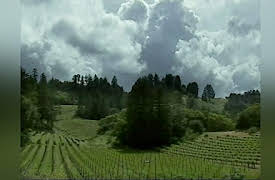 Great Drives: Napa to Monterey