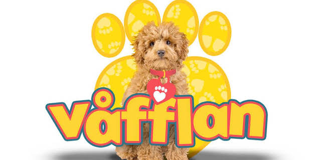 09:40: Våfflan | Barnkanalen | 11/7 2025