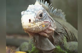 Discovering the World: St. Barts - Beauty and the Plane