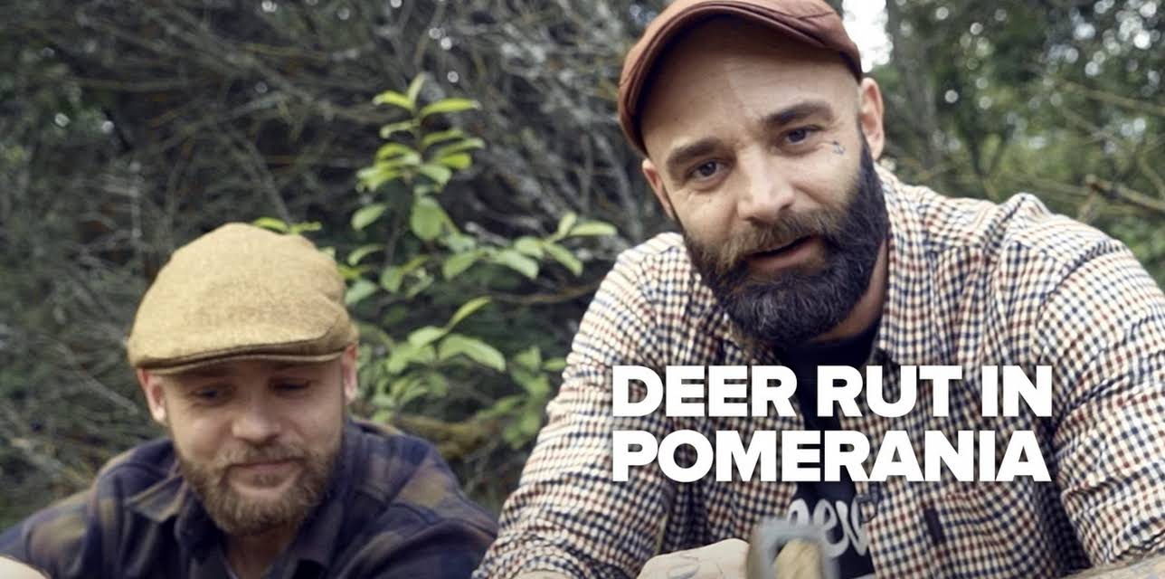 Deer Rut in Pomerania