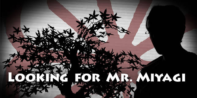 Looking for Mr. Miyagi (2014)