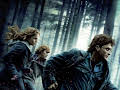Harry Potter and the Deathly Hallows - Part 1