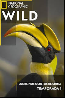 00:15: Los reinos ocultos de China: El imperio de los gigantes | Nat Geo Wild | 3/29 2026