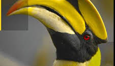 Los reinos ocultos de China: El imperio de los gigantes