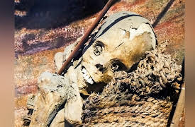 Secrets In The Jungle: Creature of Lake Eacham