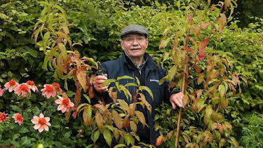 9:30 AM: Beechgrove Garden | BBC Two | 8/15 2026