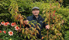 Beechgrove Garden (20)