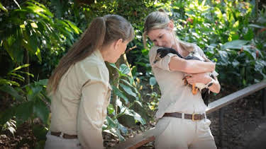 3:00 PM: Crikey! It's the Irwins (S4) | Discovery Channel | 7/10 2026