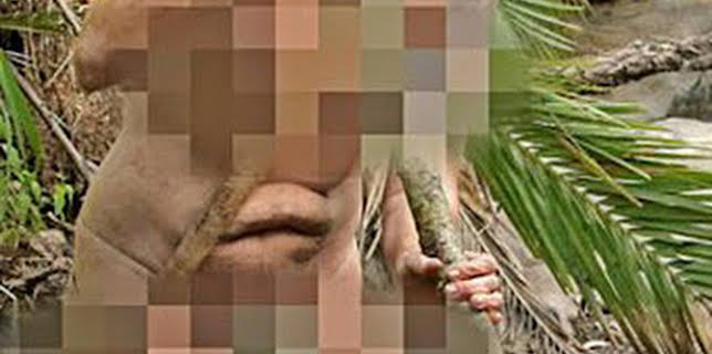 03:13: Aventura en pelotas XL: León a las puertas | Discovery | 3/21 2026