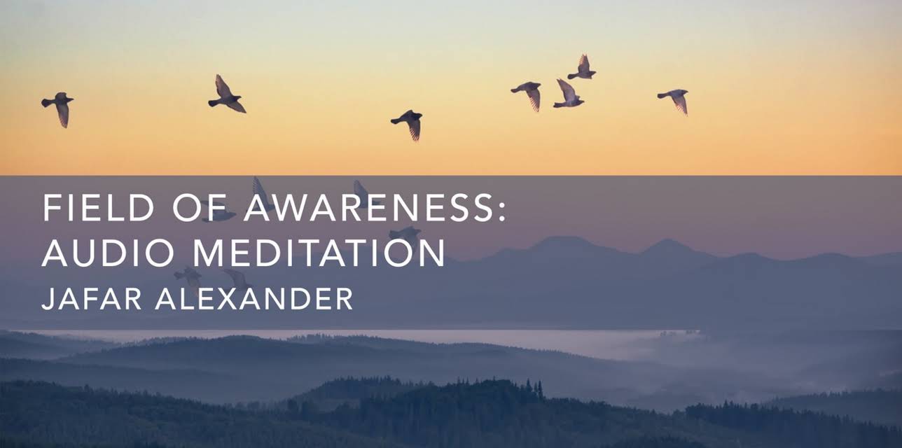 Field of Awareness (2020)