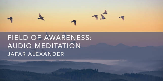 Field of Awareness (2020)