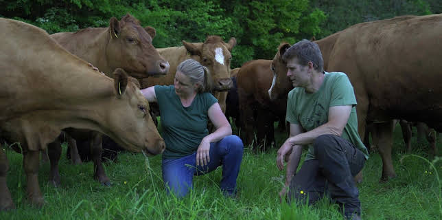 15:30: Geschichten vom Hof | SWR Fernsehen RP | 2/22 2026