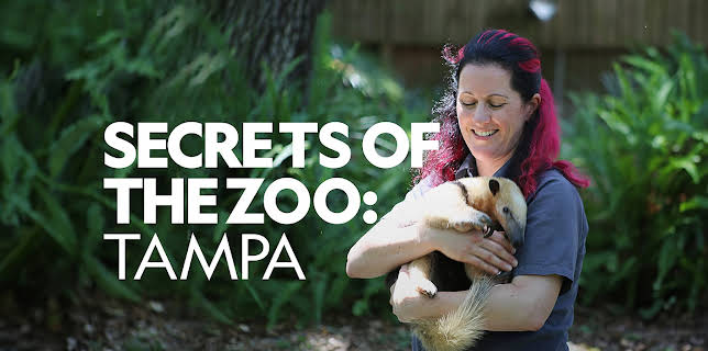 Secrets of the Zoo: Tampa Season 1