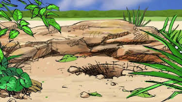 09:50: Giraffe, Erdmännchen & Co. (52) | WDR Fernsehen | 3/28 2026