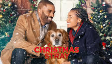 A Christmas Stray