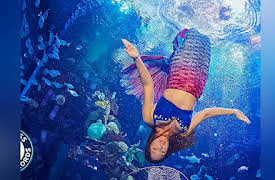 Molang: The Christmas Tree