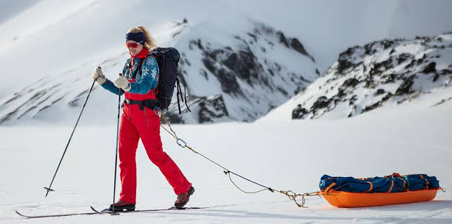 4:15 PM: Wild Scandinavia (S1) | BBC Two | 11/19 2025