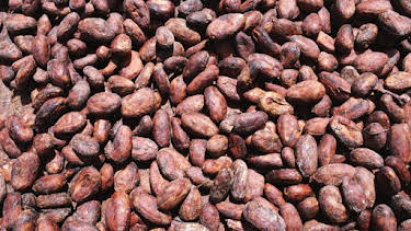 4:00 PM: How It's Made (S17) | Discovery Channel | 4/3 2026