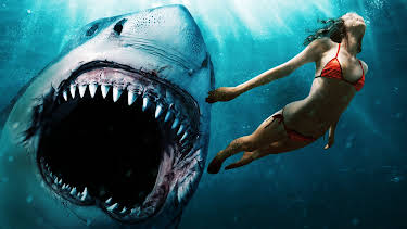 01:50: Shark Bait | RTL 2 | 8/15 2026