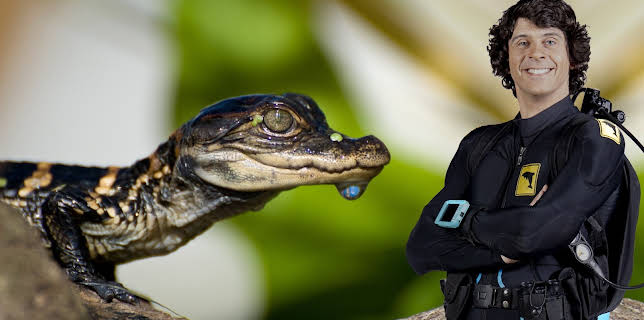 10:35: Andys ville vasseventyr: Andy og alligatorungane | NRK Super | 11/20 2025