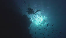 Ancient Aliens - Die Ursprünge