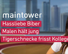 maintower