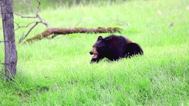 06:35: Unglaublich! Spektakuläre Momente vor laufender Kamera | ProSieben | 4/7 2026
