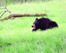 Unglaublich! Spektakuläre Momente vor laufender Kamera