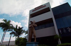 Million Dollar Collections: Sports Immortals