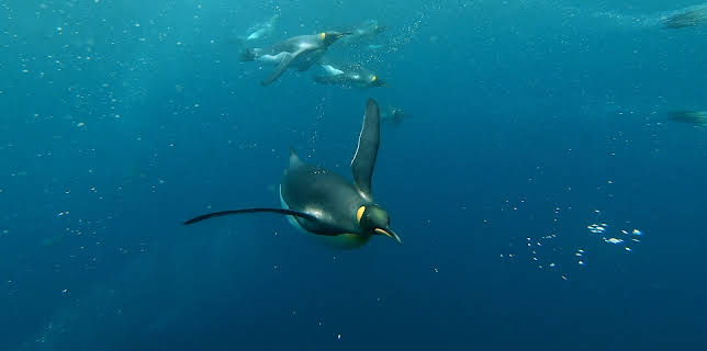 10:35: Antarktika (1/2) | 3SAT | 3/19 2026