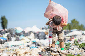 Democracy and Its Alternatives: What Really Causes Wealth and Poverty?