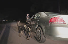 Live PD Presents: Florida Heat Season 1: Episode 7