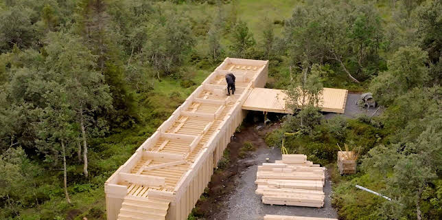 01:00: Husdrømmer: Et rolig liv i Ljungdalen | NRK 2 | 1/17 2026