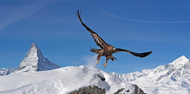 09:20: Die Alpen | MDR Fernsehen | 12/7 2025