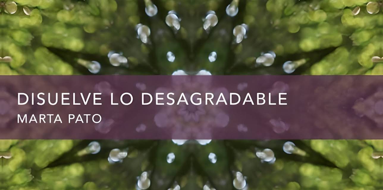 Disuelve lo desagradable (2016)